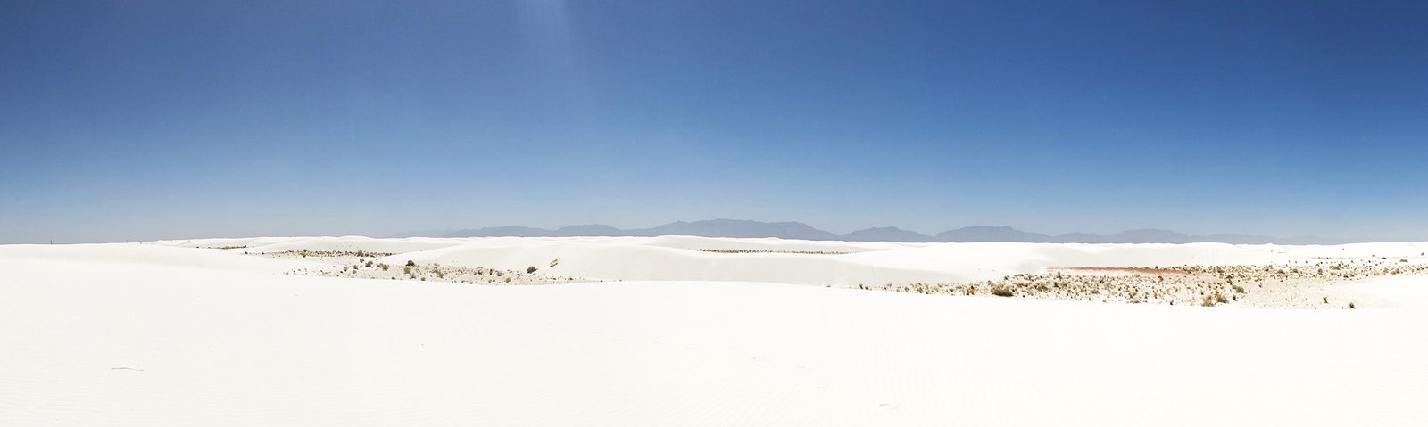 Describe the wide photo here