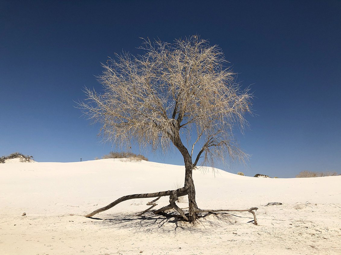 Describe the landscape photo here